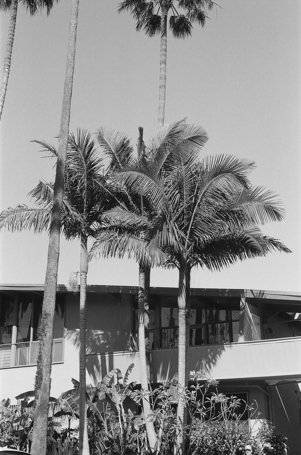 California Dreaming - Minimalist black and white coastal scene